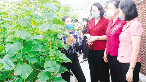 Bắc Ninh: Những việc làm ý nghĩa của Chi hội LHPN thôn Hương Triện, xã Nhân Thắng, Gia Bình