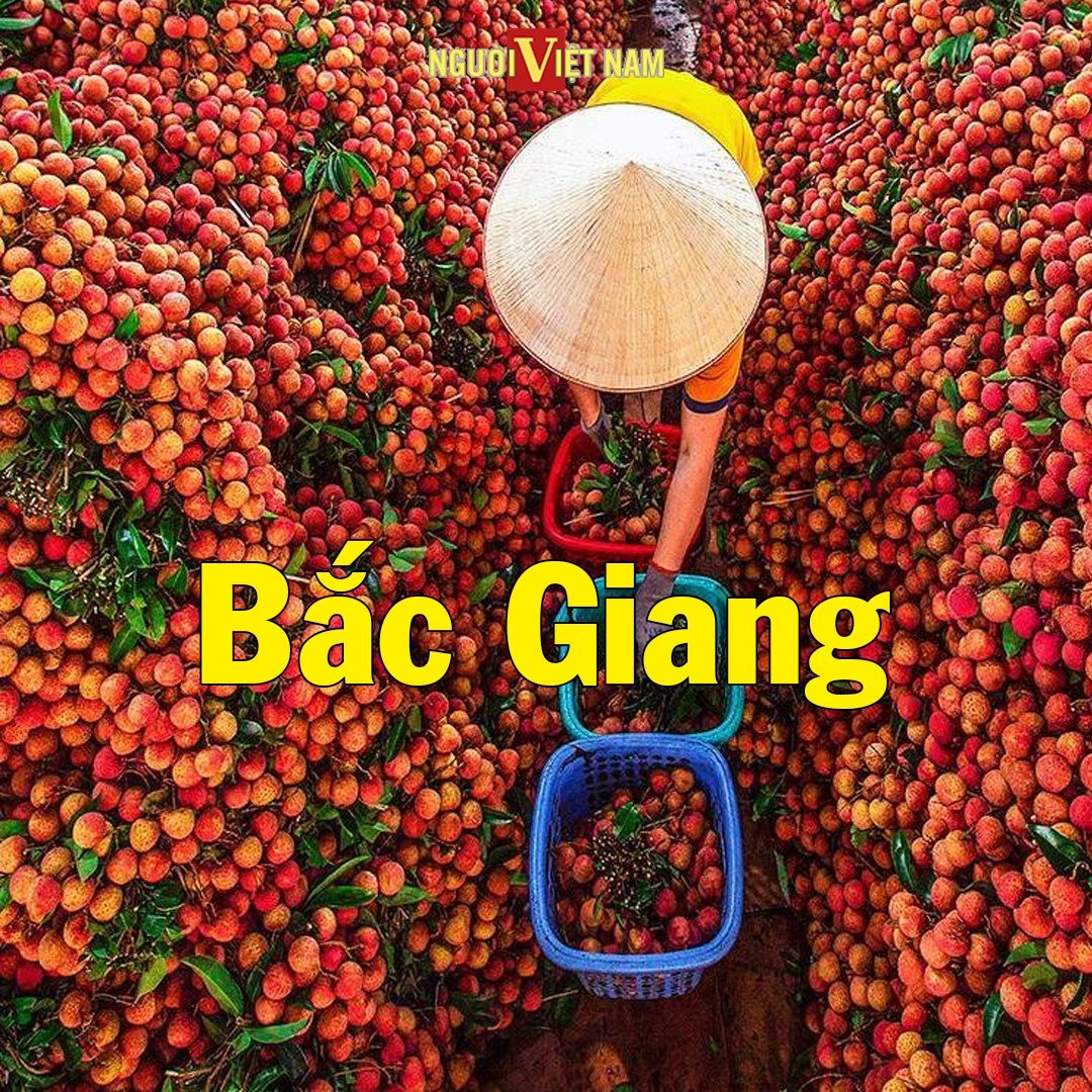 240631634_860228141277841_4670496691417284650_n