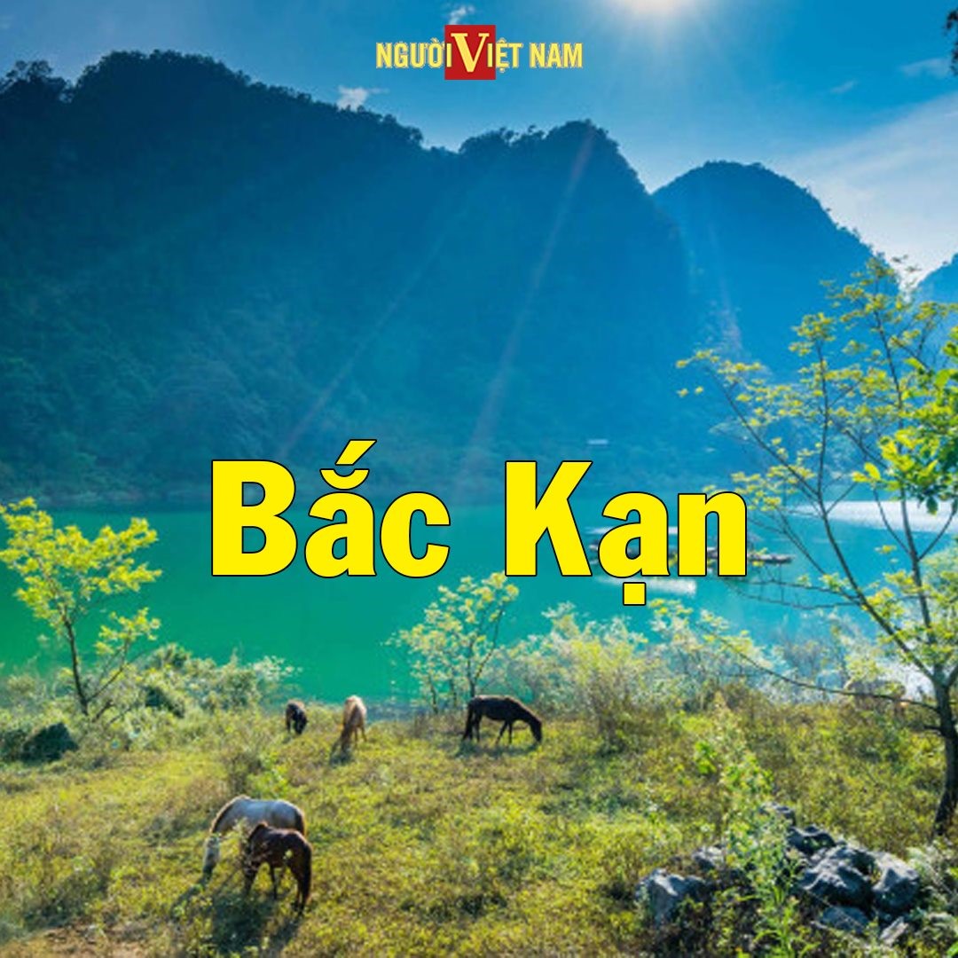 240667231_860228197944502_8170043649531314305_n