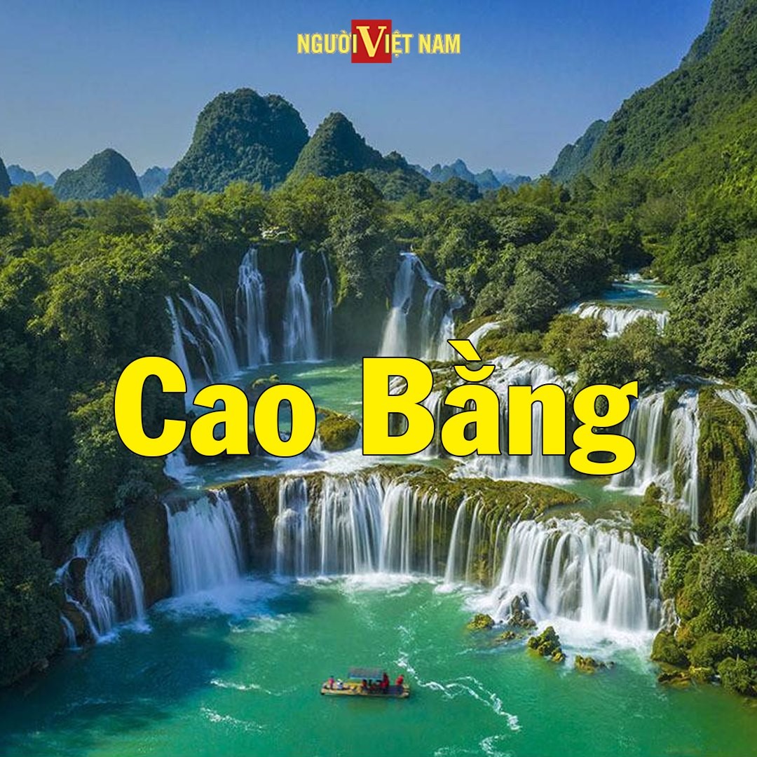 241092685_860228114611177_1790361690538535871_n