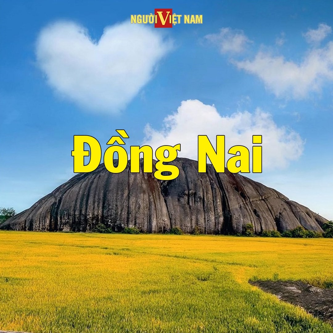 241226185_860228031277852_3952844294344945735_n