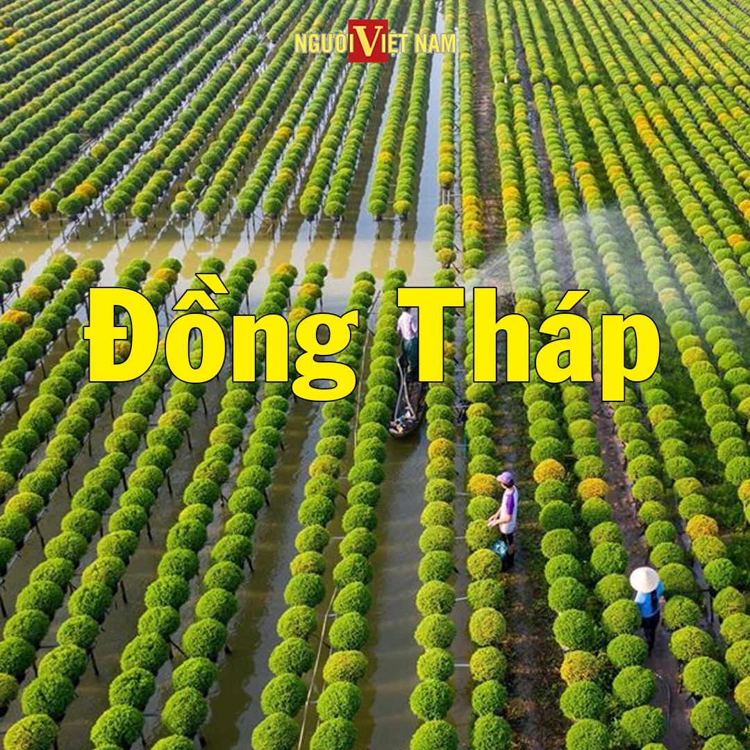 241349511_860228184611170_846192585670580712_n