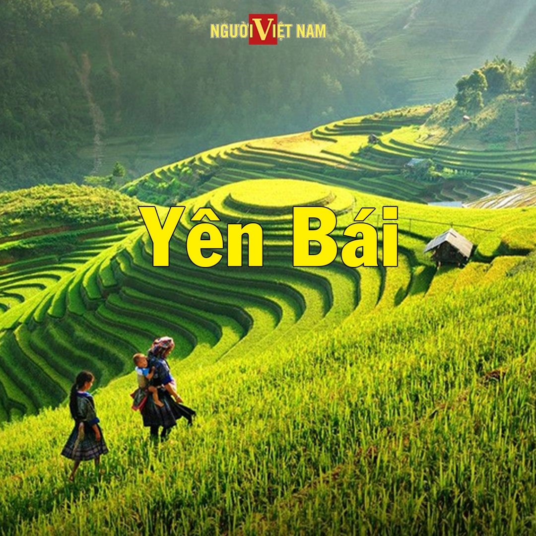 241390163_860228074611181_8255570127264375190_n