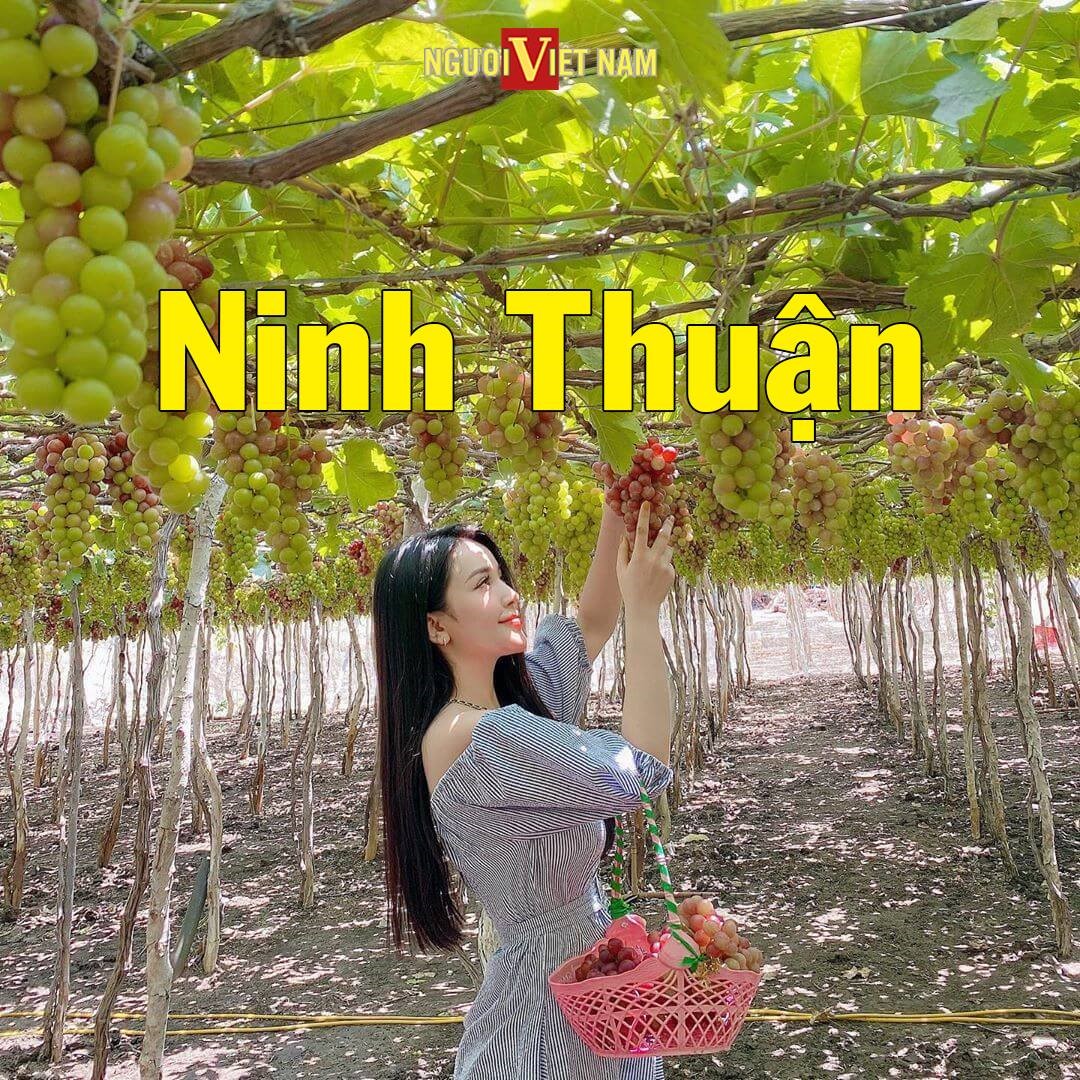 241459923_860228111277844_8358309717297031165_n