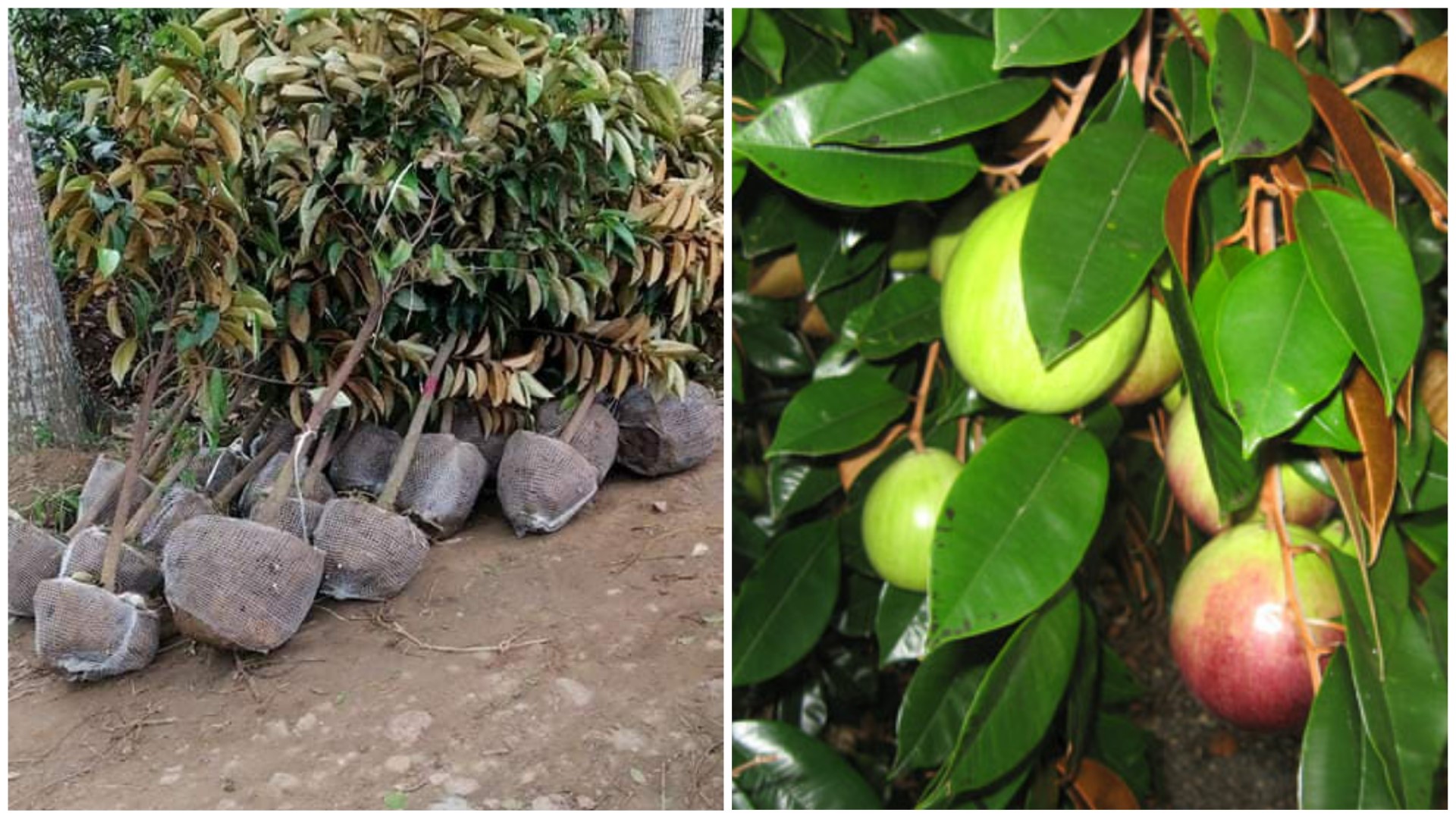 PicsArt_08-29-12.54.38