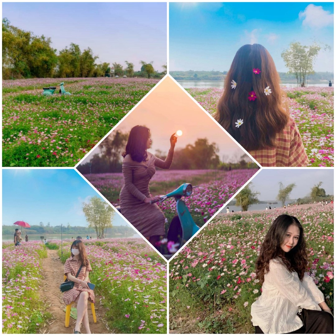 z2800519538039_73f2a9c39106a4872b07ef65eae9b504