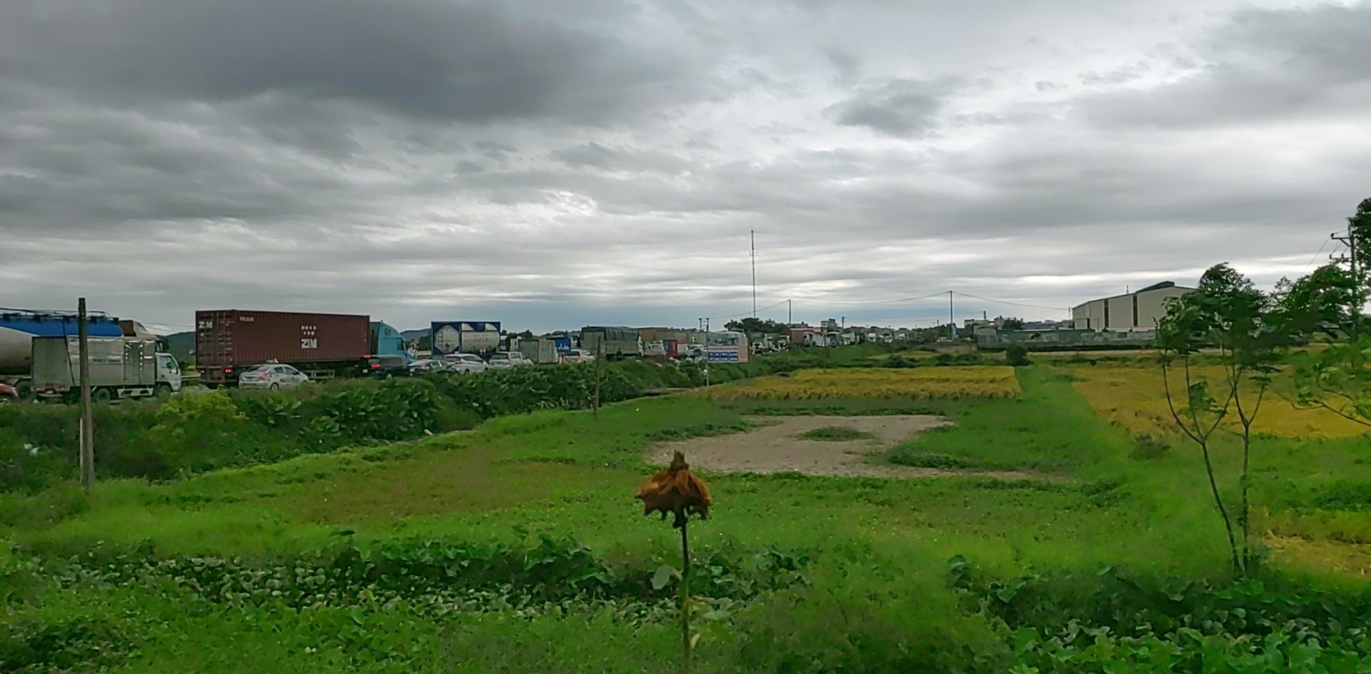 z2864521654103_4b286dff37f11dc53b316273dfb301c8