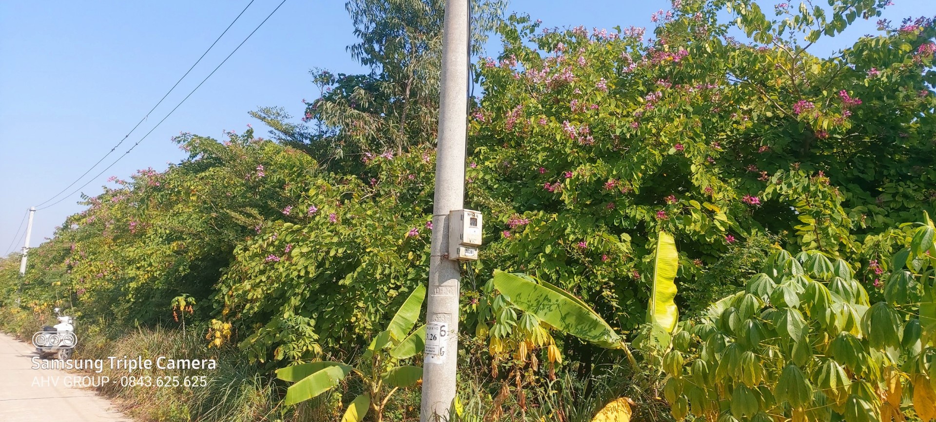 z2976935769646_3070ea48af299f89bb2ad398856a540a